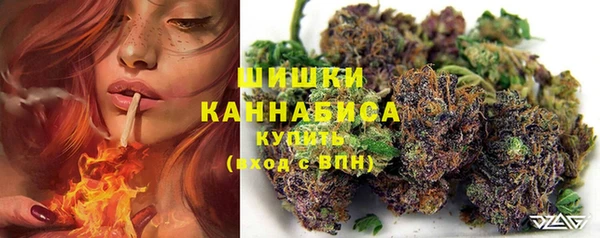 стаф Мегион