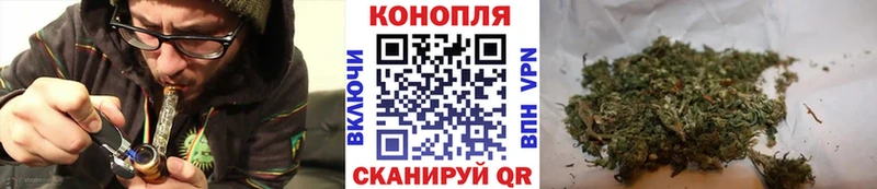 как найти наркотики  Тверь  Бошки марихуана планчик 
